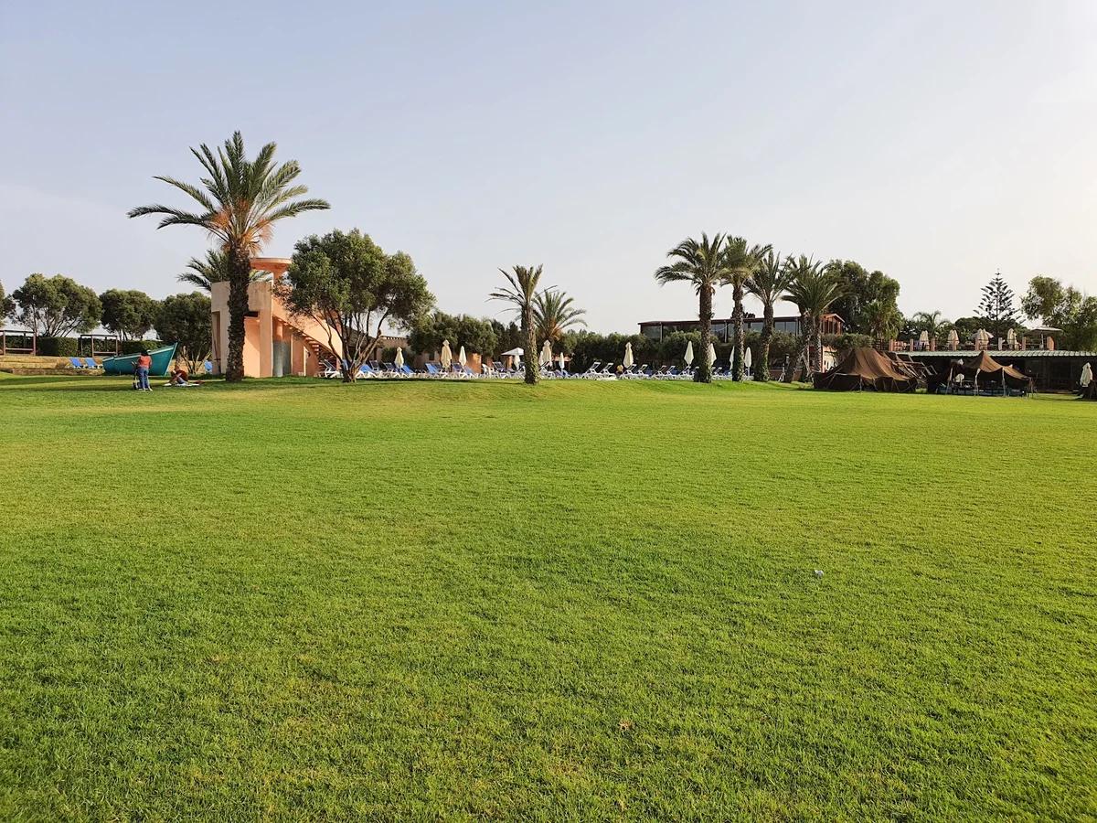 Multipurpose Lawns 3